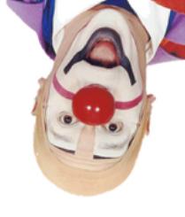 clownint